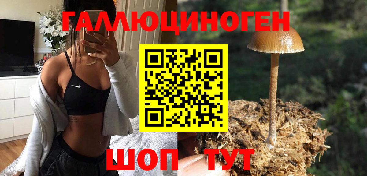 Алапаевск  Галлюциногенные грибы Magic Shrooms  Псилоцибиновые грибы Cubensis  Вход с VPN 